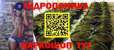 прущие грибы Будённовск