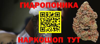 прущие грибы Будённовск