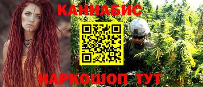 прущие грибы Будённовск