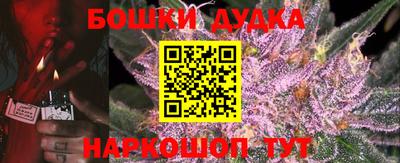 прущие грибы Будённовск