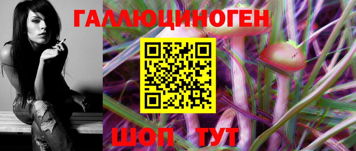Псилоцибиновые грибы Psilocybine cubensis Шебекино